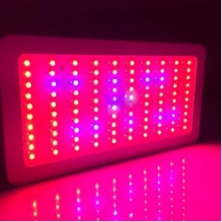 LED Grow Light